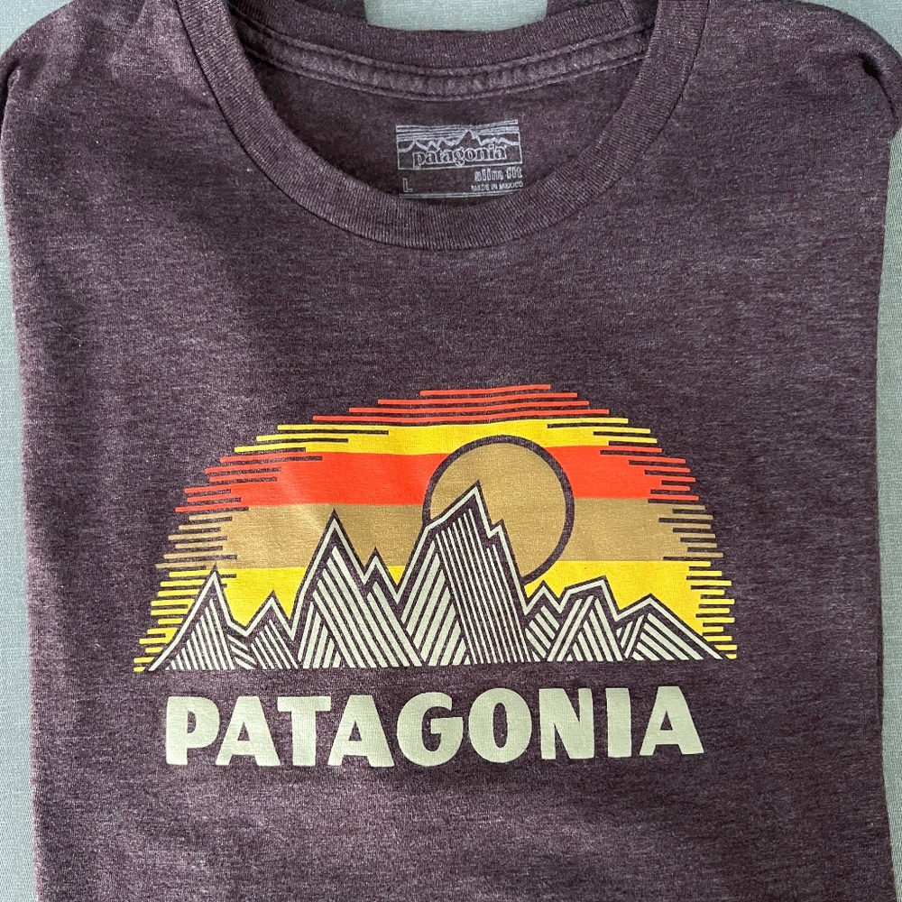 Patagonia T-shirt